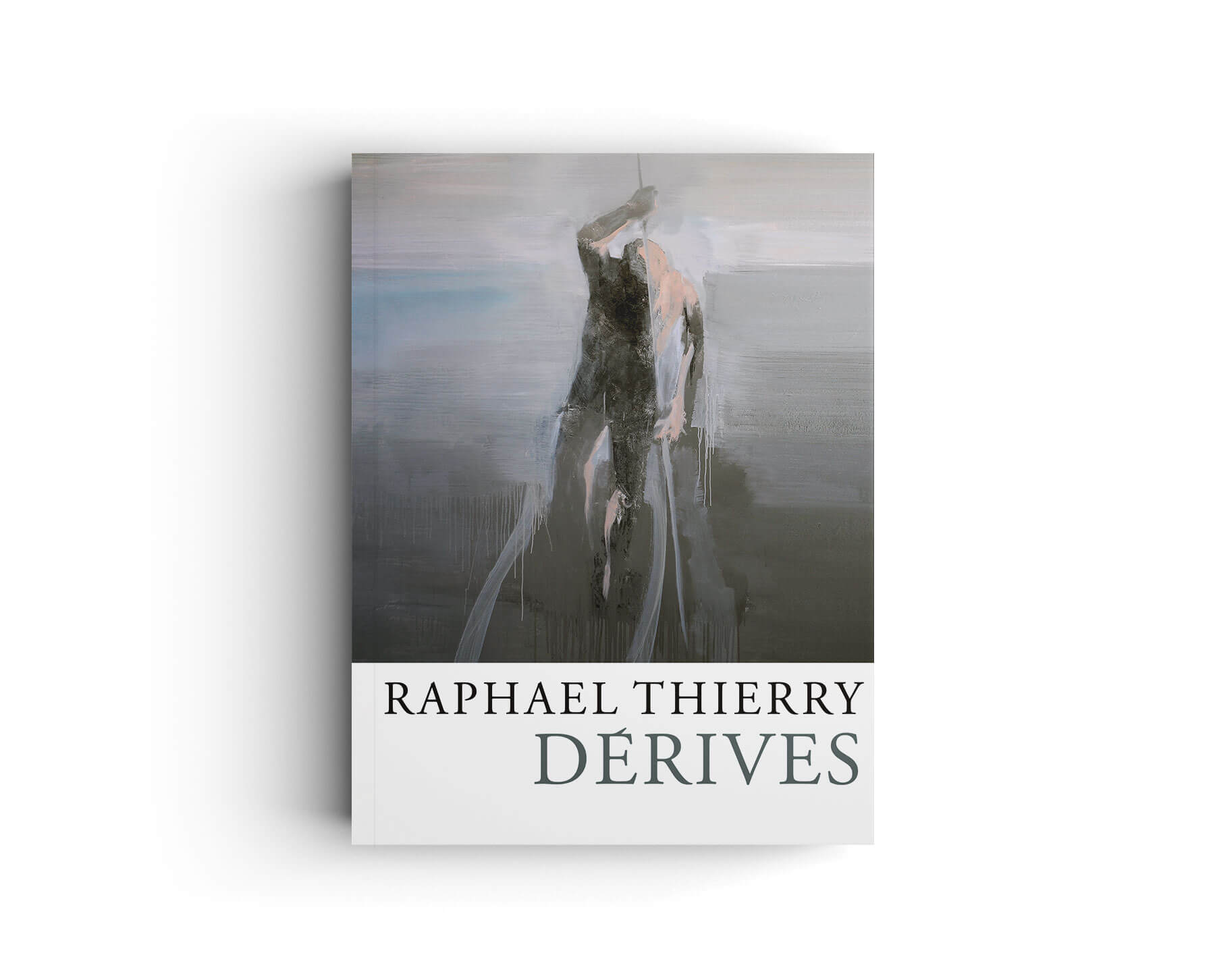 catalogue-derives-raphael-thierry-b