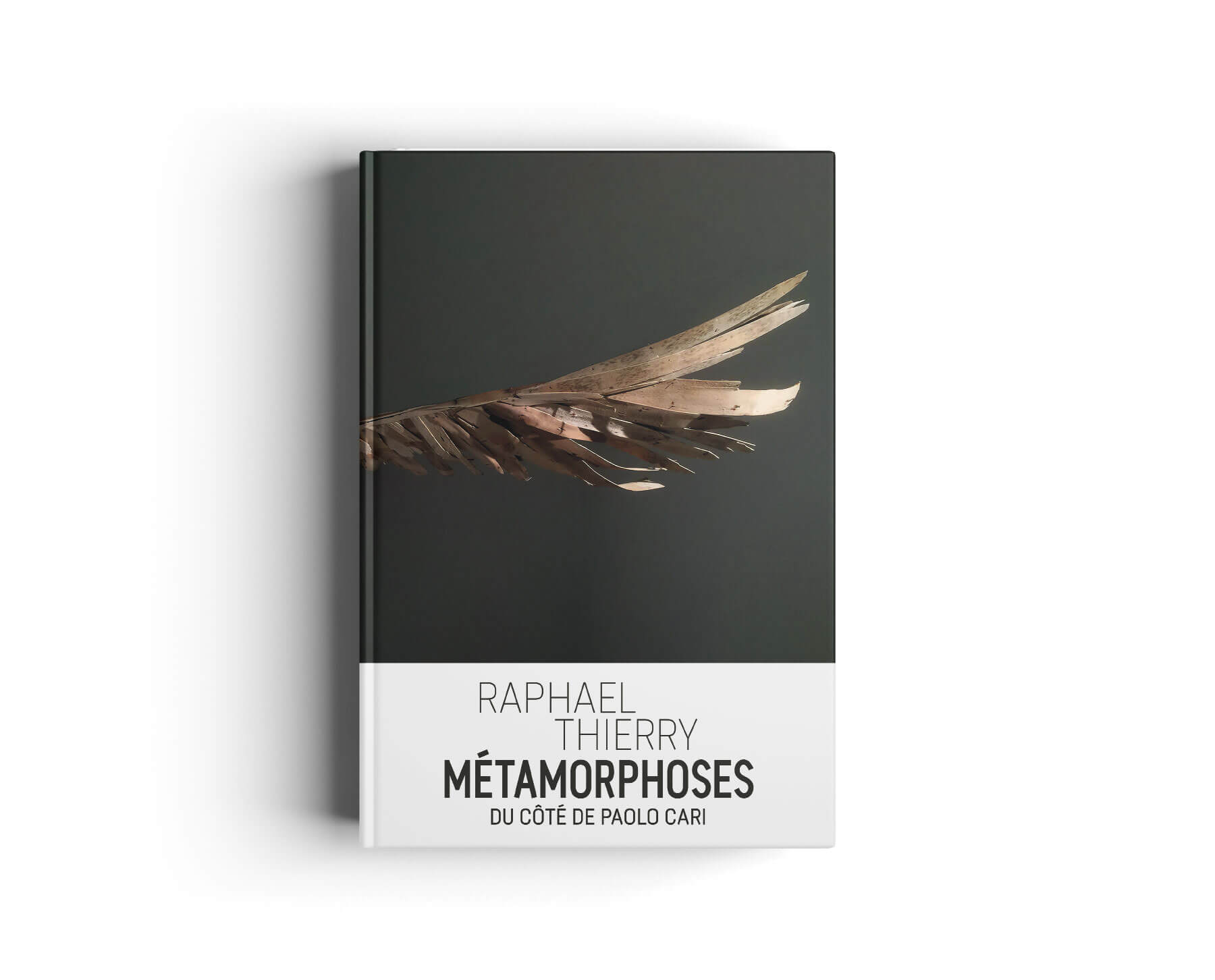 catalogue-metamorphoses-paolo-cari-raphael-thierry-b